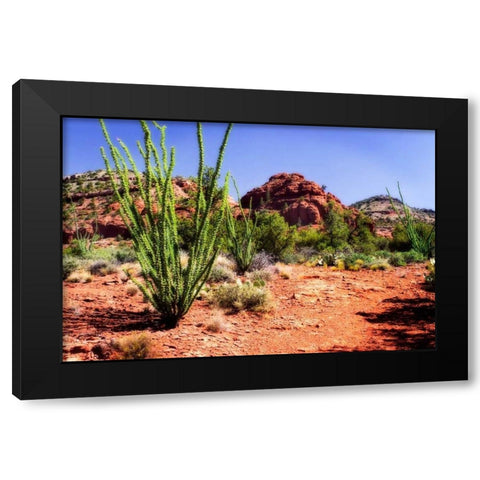 High Desert II Black Modern Wood Framed Art Print by Hausenflock, Alan