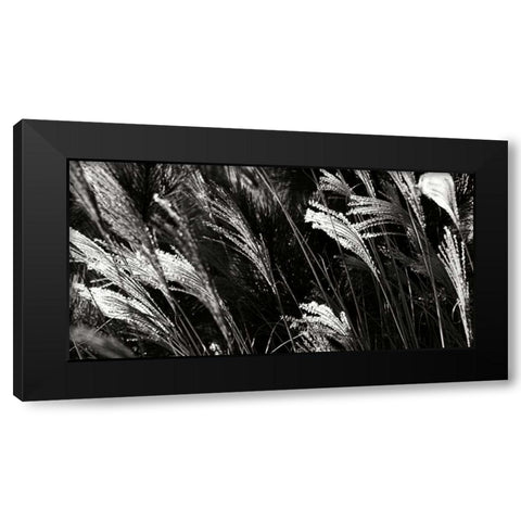 Wind Dancers I Black Modern Wood Framed Art Print with Double Matting by Hausenflock, Alan