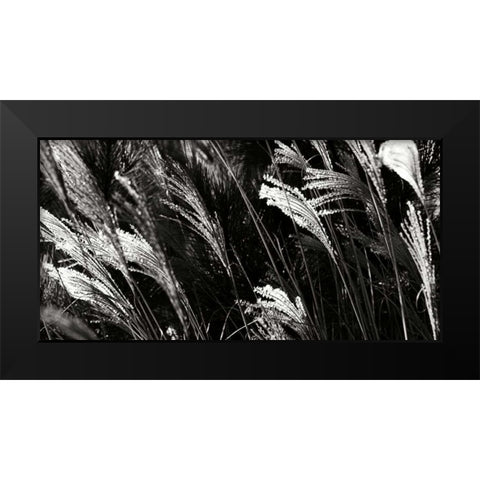 Wind Dancers I Black Modern Wood Framed Art Print by Hausenflock, Alan