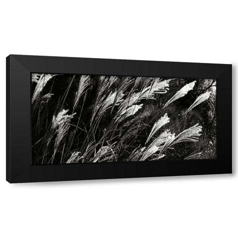Wind Dancers II Black Modern Wood Framed Art Print with Double Matting by Hausenflock, Alan
