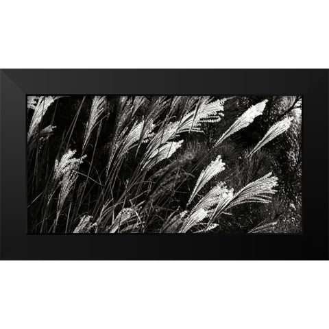Wind Dancers II Black Modern Wood Framed Art Print by Hausenflock, Alan