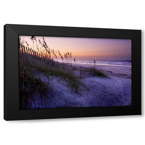 Lavender Beach I Black Modern Wood Framed Art Print with Double Matting by Hausenflock, Alan
