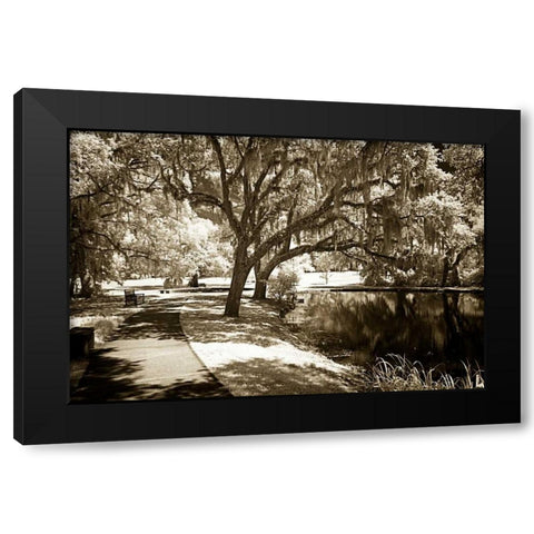 Walkers Pond I Black Modern Wood Framed Art Print by Hausenflock, Alan