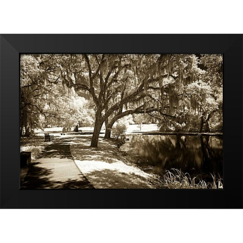 Walkers Pond I Black Modern Wood Framed Art Print by Hausenflock, Alan
