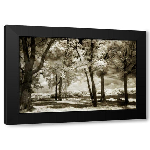 Cobb Island Channel I Black Modern Wood Framed Art Print by Hausenflock, Alan