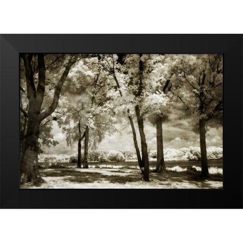 Cobb Island Channel I Black Modern Wood Framed Art Print by Hausenflock, Alan