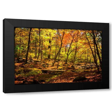 Picnic Perfect I Black Modern Wood Framed Art Print with Double Matting by Hausenflock, Alan