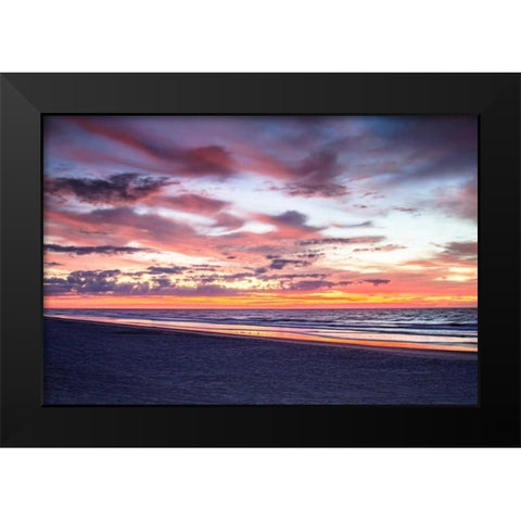 Gulls on the Shore I Black Modern Wood Framed Art Print by Hausenflock, Alan