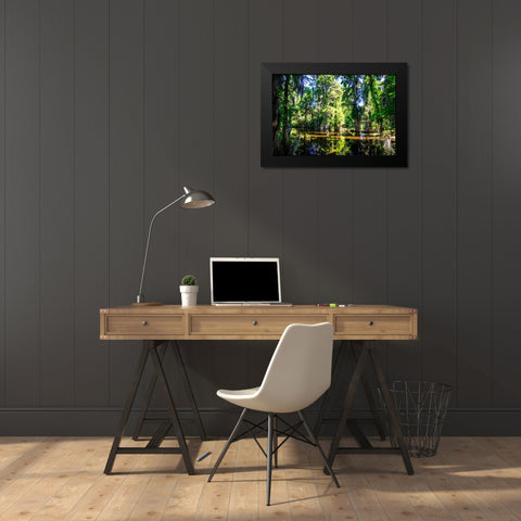 Cypress Pond I Black Modern Wood Framed Art Print by Hausenflock, Alan