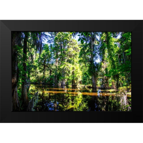 Cypress Pond I Black Modern Wood Framed Art Print by Hausenflock, Alan