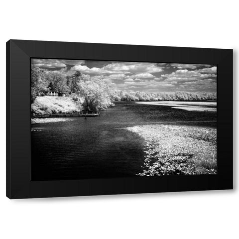 Spring on the Mattaponi II Black Modern Wood Framed Art Print by Hausenflock, Alan