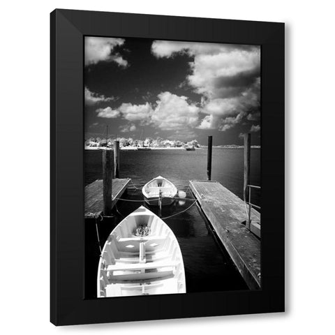 Summer on Taylors Creek II Black Modern Wood Framed Art Print by Hausenflock, Alan