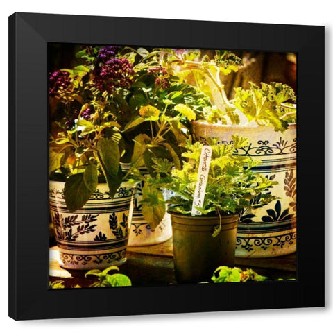 New April Garden II Black Modern Wood Framed Art Print with Double Matting by Hausenflock, Alan