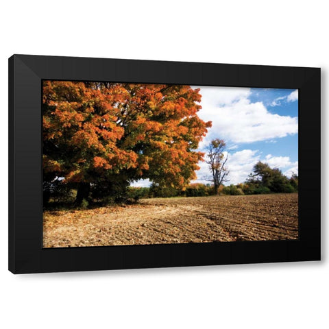 Autumn Scene II Black Modern Wood Framed Art Print with Double Matting by Hausenflock, Alan