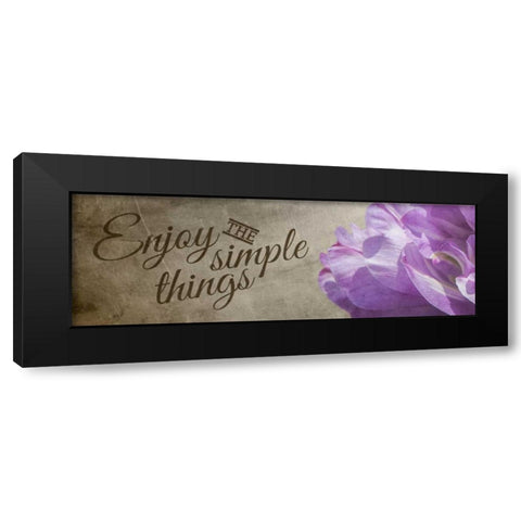Simple Things Black Modern Wood Framed Art Print with Double Matting by Hausenflock, Alan