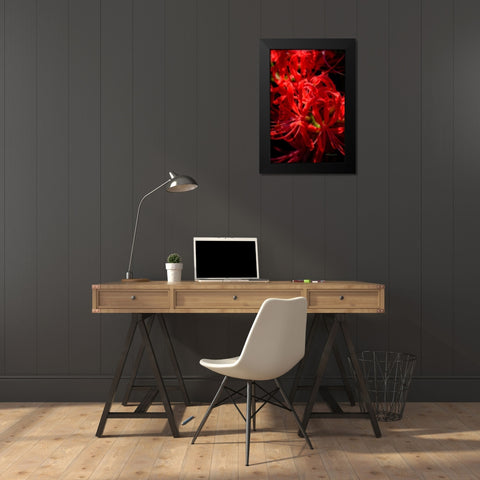 Hurricane Lily Black Modern Wood Framed Art Print by Hausenflock, Alan