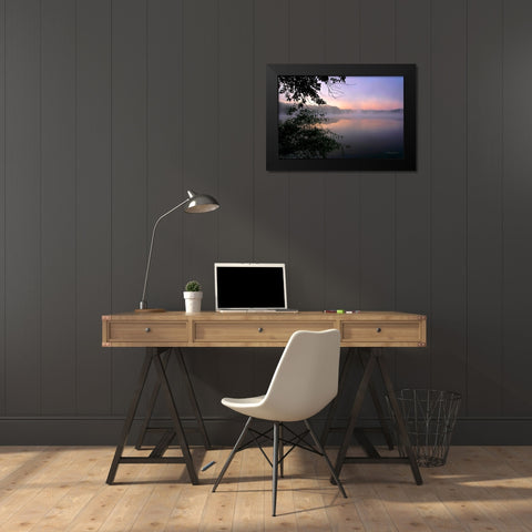Shelley Lake Fog Black Modern Wood Framed Art Print by Hausenflock, Alan