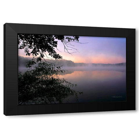 Shelley Lake Fog Black Modern Wood Framed Art Print with Double Matting by Hausenflock, Alan