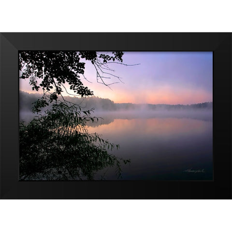 Shelley Lake Fog Black Modern Wood Framed Art Print by Hausenflock, Alan