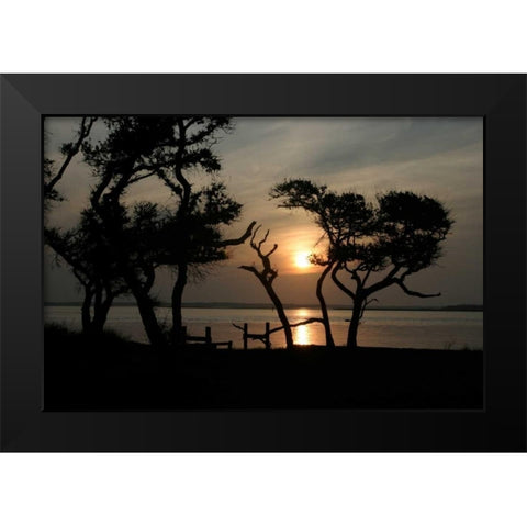 Beaufort I Black Modern Wood Framed Art Print by Hausenflock, Alan