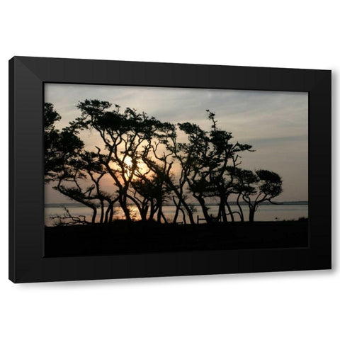 Beaufort II Black Modern Wood Framed Art Print with Double Matting by Hausenflock, Alan