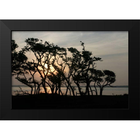 Beaufort II Black Modern Wood Framed Art Print by Hausenflock, Alan