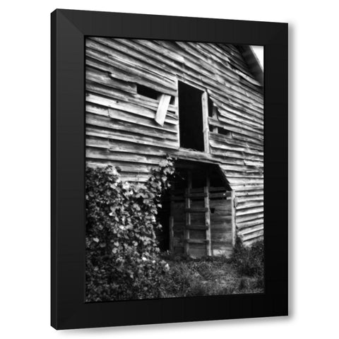 Falling Down Black Modern Wood Framed Art Print with Double Matting by Hausenflock, Alan