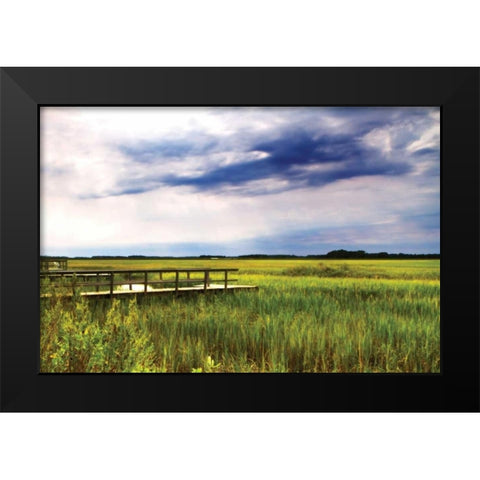 Marshland Storm I Black Modern Wood Framed Art Print by Hausenflock, Alan