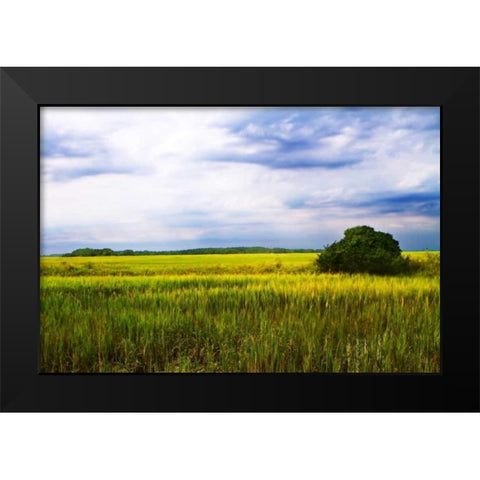 Marshland Storm II Black Modern Wood Framed Art Print by Hausenflock, Alan