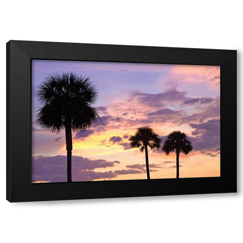 San Marcos Sunset IV Black Modern Wood Framed Art Print with Double Matting by Hausenflock, Alan