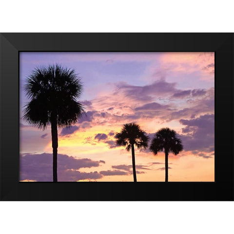 San Marcos Sunset IV Black Modern Wood Framed Art Print by Hausenflock, Alan
