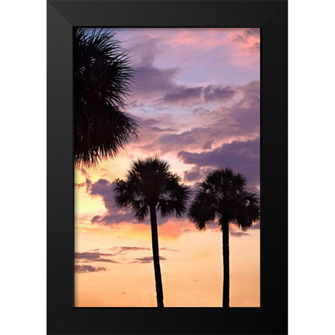 San Marcos Sunset V Black Modern Wood Framed Art Print by Hausenflock, Alan
