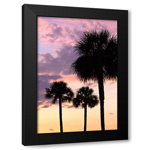 San Marcos Sunset VI Black Modern Wood Framed Art Print with Double Matting by Hausenflock, Alan