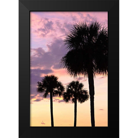 San Marcos Sunset VI Black Modern Wood Framed Art Print by Hausenflock, Alan