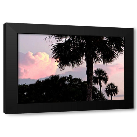 Days End II Black Modern Wood Framed Art Print with Double Matting by Hausenflock, Alan