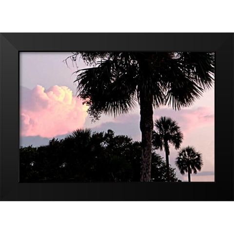 Days End II Black Modern Wood Framed Art Print by Hausenflock, Alan