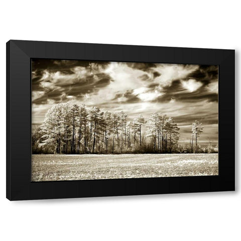 Fallow Field Black Modern Wood Framed Art Print by Hausenflock, Alan