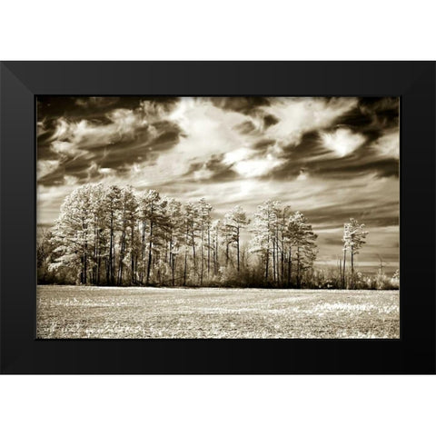 Fallow Field Black Modern Wood Framed Art Print by Hausenflock, Alan