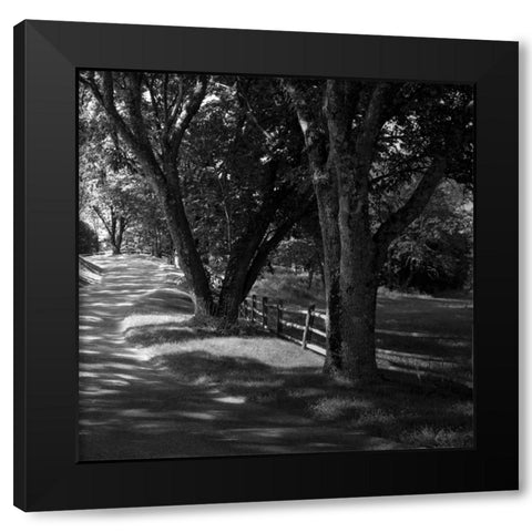 Ash Lawn Square II Black Modern Wood Framed Art Print with Double Matting by Hausenflock, Alan