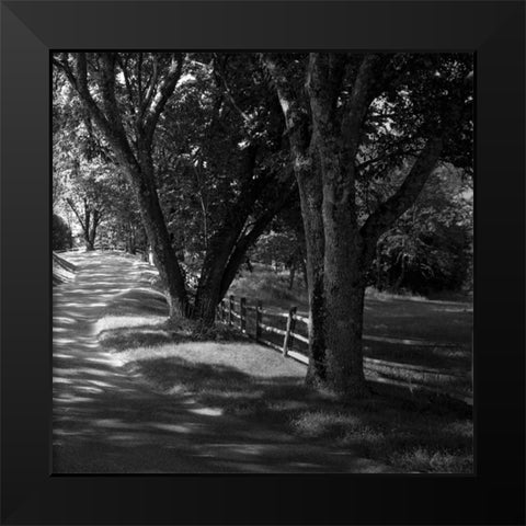 Ash Lawn Square II Black Modern Wood Framed Art Print by Hausenflock, Alan
