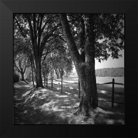 Summer Stroll Square II Black Modern Wood Framed Art Print by Hausenflock, Alan