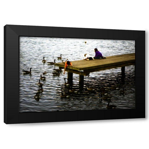 Feeding the Geese III Black Modern Wood Framed Art Print with Double Matting by Hausenflock, Alan