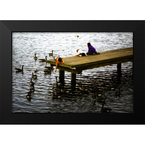 Feeding the Geese III Black Modern Wood Framed Art Print by Hausenflock, Alan