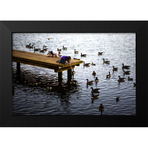 Feeding the Geese IV Black Modern Wood Framed Art Print by Hausenflock, Alan
