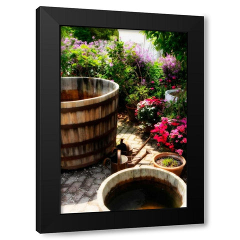 The Garden Nook II Black Modern Wood Framed Art Print with Double Matting by Hausenflock, Alan