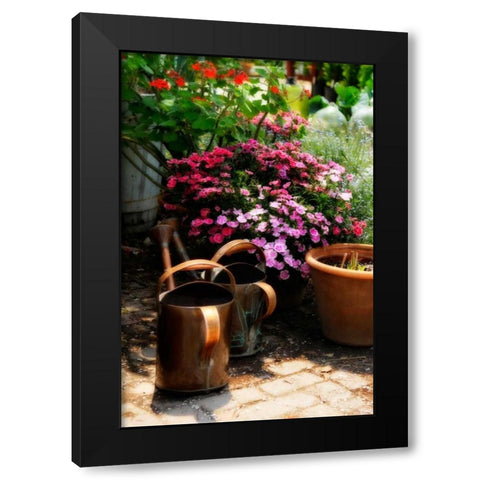 The Garden Nook IV Black Modern Wood Framed Art Print with Double Matting by Hausenflock, Alan