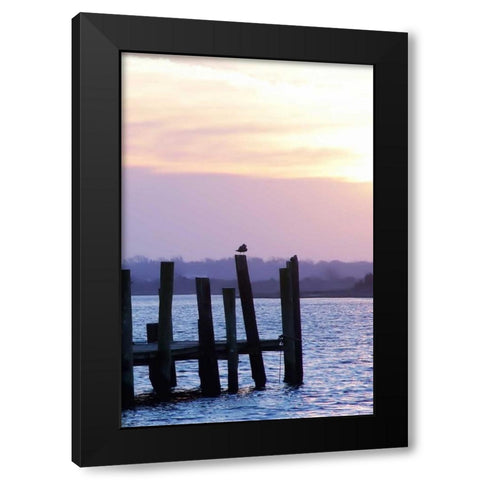 Seagulls at Sunset Black Modern Wood Framed Art Print with Double Matting by Hausenflock, Alan
