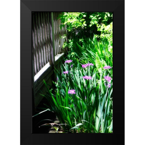 Spring Iris II Black Modern Wood Framed Art Print by Hausenflock, Alan