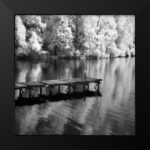Mint Springs Lake Square III Black Modern Wood Framed Art Print by Hausenflock, Alan