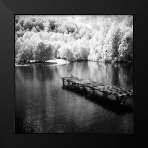 Mint Springs Lake Square IV Black Modern Wood Framed Art Print by Hausenflock, Alan